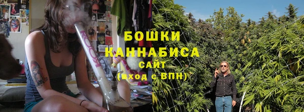 прущие крисы Надым