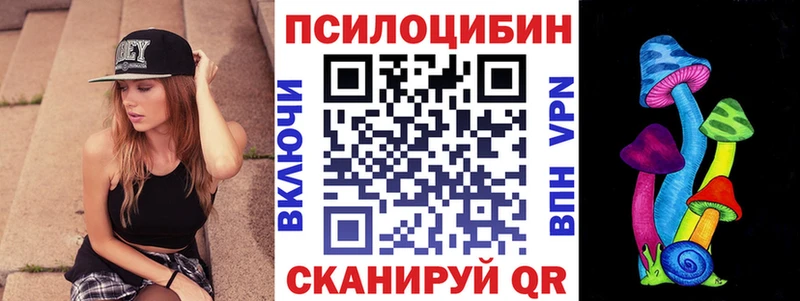 Купить где  Туран  Псилоцибиновые грибы Cubensis 